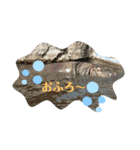 あにまるzoo and aquarium（個別スタンプ：13）