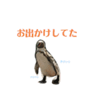 あにまるzoo and aquarium（個別スタンプ：14）