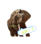 あにまるzoo and aquarium（個別スタンプ：19）