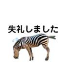 あにまるzoo and aquarium（個別スタンプ：20）