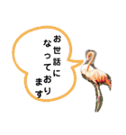 あにまるzoo and aquarium（個別スタンプ：22）