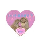 あにまるzoo and aquarium（個別スタンプ：23）