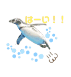 あにまるzoo and aquarium（個別スタンプ：24）
