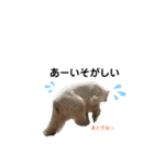あにまるzoo and aquarium（個別スタンプ：28）