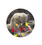 あにまるzoo and aquarium（個別スタンプ：32）