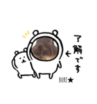 うさぎのぶりちゃん4（個別スタンプ：3）
