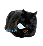 チョコの助チョコ在モン（個別スタンプ：4）