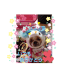 チビゆう＆チビ愛ちゃん（個別スタンプ：4）