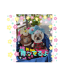 チビゆう＆チビ愛ちゃん（個別スタンプ：6）
