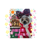 チビゆう＆チビ愛ちゃん（個別スタンプ：8）