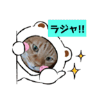ふうちゃんの巻 パート2（個別スタンプ：1）