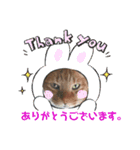 ふうちゃんの巻 パート2（個別スタンプ：5）