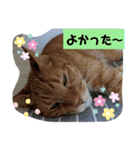 ふうちゃんの巻 パート2（個別スタンプ：8）