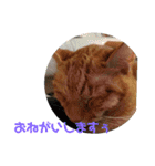 ふうちゃんの巻 パート2（個別スタンプ：13）