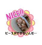 ふうちゃんの巻 パート2（個別スタンプ：16）