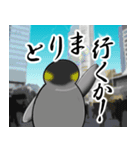 ギャル語を話す 夏ペンギン（個別スタンプ：13）