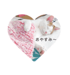 三毛猫ことね（個別スタンプ：2）