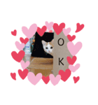 三毛猫ことね（個別スタンプ：4）