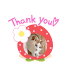三毛猫ことね（個別スタンプ：7）