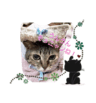 お猫しゃん＆お馬しゃん（個別スタンプ：1）