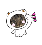 てんたん♡（個別スタンプ：5）