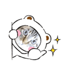 てんたん♡（個別スタンプ：6）