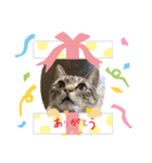 てんたん♡（個別スタンプ：7）