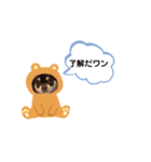 チワワスタンプ第1弾（個別スタンプ：3）