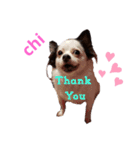 ワンコ(犬) enjoyスタンプ（個別スタンプ：1）