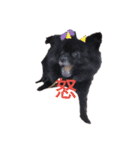 ワンコ(犬) enjoyスタンプ（個別スタンプ：4）