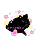 ワンコ(犬) enjoyスタンプ（個別スタンプ：6）