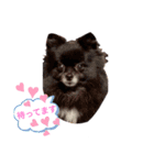 ワンコ(犬) enjoyスタンプ（個別スタンプ：7）