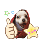 ワンコ(犬) enjoyスタンプ（個別スタンプ：8）