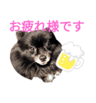 ワンコ(犬) enjoyスタンプ（個別スタンプ：9）