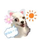 ワンコ(犬) enjoyスタンプ（個別スタンプ：10）