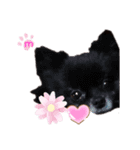 ワンコ(犬) enjoyスタンプ（個別スタンプ：12）