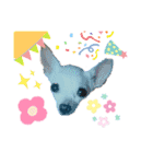 ワンコ(犬) enjoyスタンプ（個別スタンプ：13）