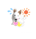 ワンコ(犬) enjoyスタンプ（個別スタンプ：14）