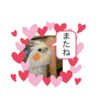 コタローとまる（個別スタンプ：2）