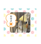 コタローとまる（個別スタンプ：7）