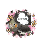 コタローとまる（個別スタンプ：8）