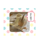 コタローとまる（個別スタンプ：15）
