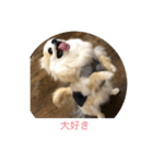 真鈴スタンプ（個別スタンプ：8）