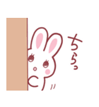 万能うさぎ！あいさつ便利セット（個別スタンプ：12）