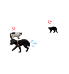 黒ぷー太郎（個別スタンプ：24）