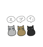 ねこサン（個別スタンプ：6）