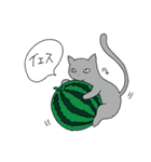 ねこサン（個別スタンプ：12）