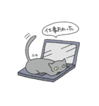 ねこサン（個別スタンプ：19）