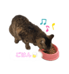 チクワとユキ❤（個別スタンプ：2）