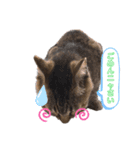 チクワとユキ❤（個別スタンプ：4）